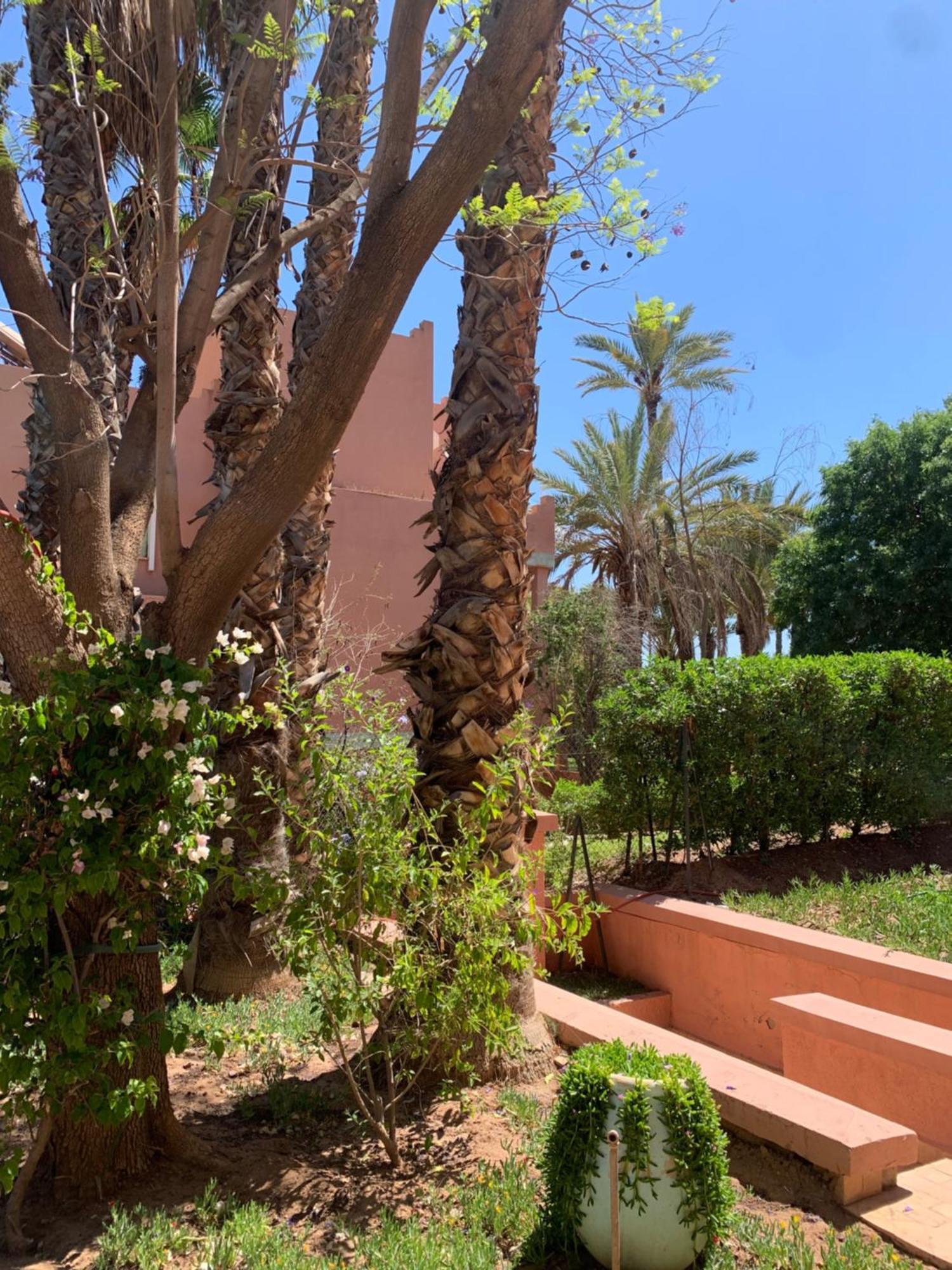 Villa Avec Piscine Privatisee A La Palmeraie مراكش المظهر الخارجي الصورة