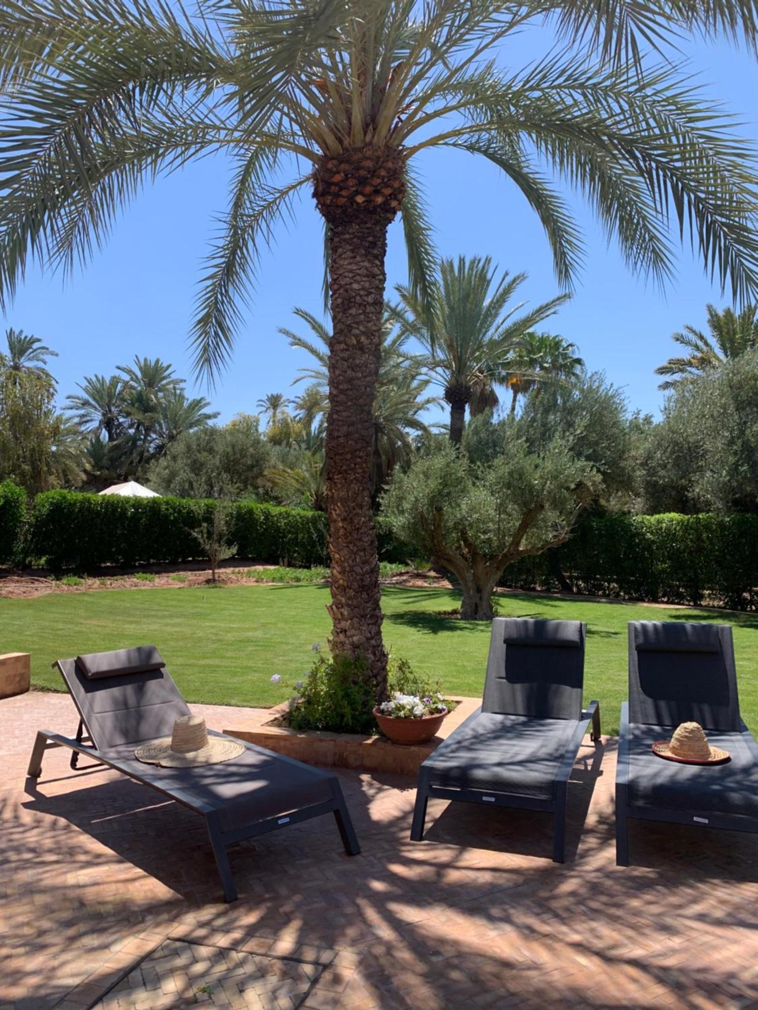 Villa Avec Piscine Privatisee A La Palmeraie مراكش المظهر الخارجي الصورة