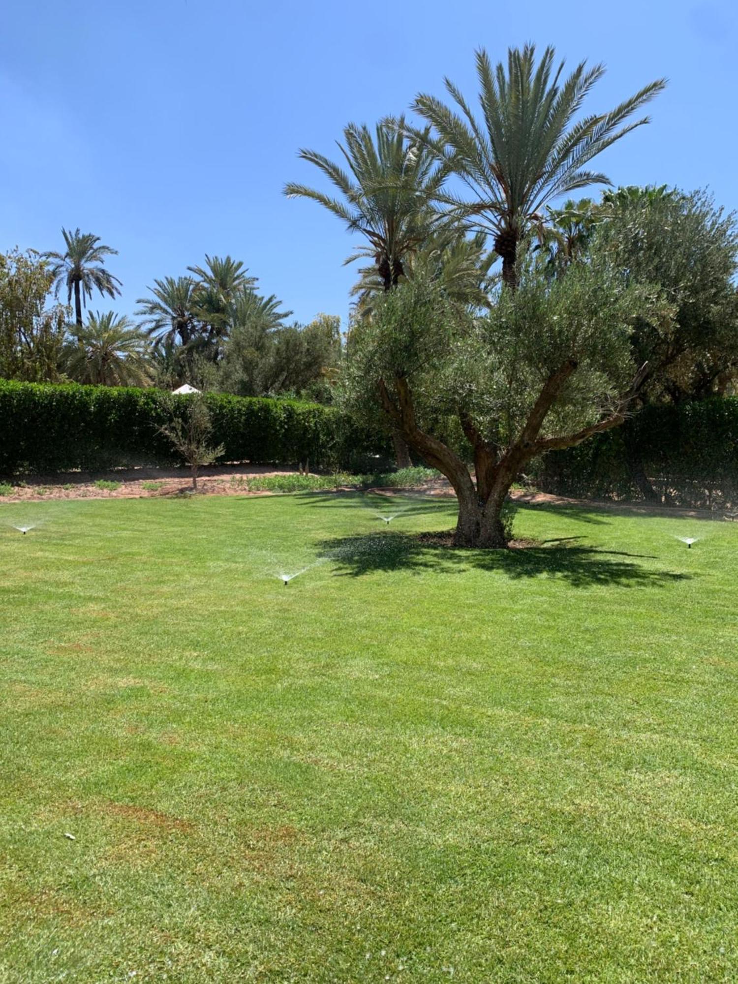 Villa Avec Piscine Privatisee A La Palmeraie مراكش المظهر الخارجي الصورة