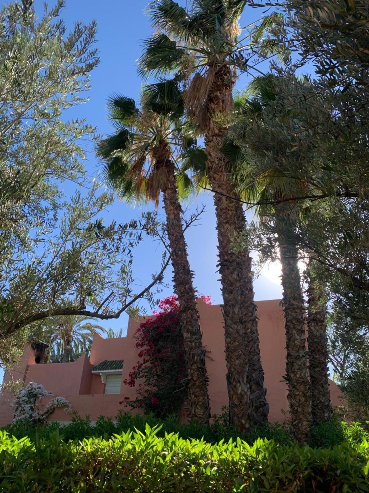 Villa Avec Piscine Privatisee A La Palmeraie مراكش المظهر الخارجي الصورة