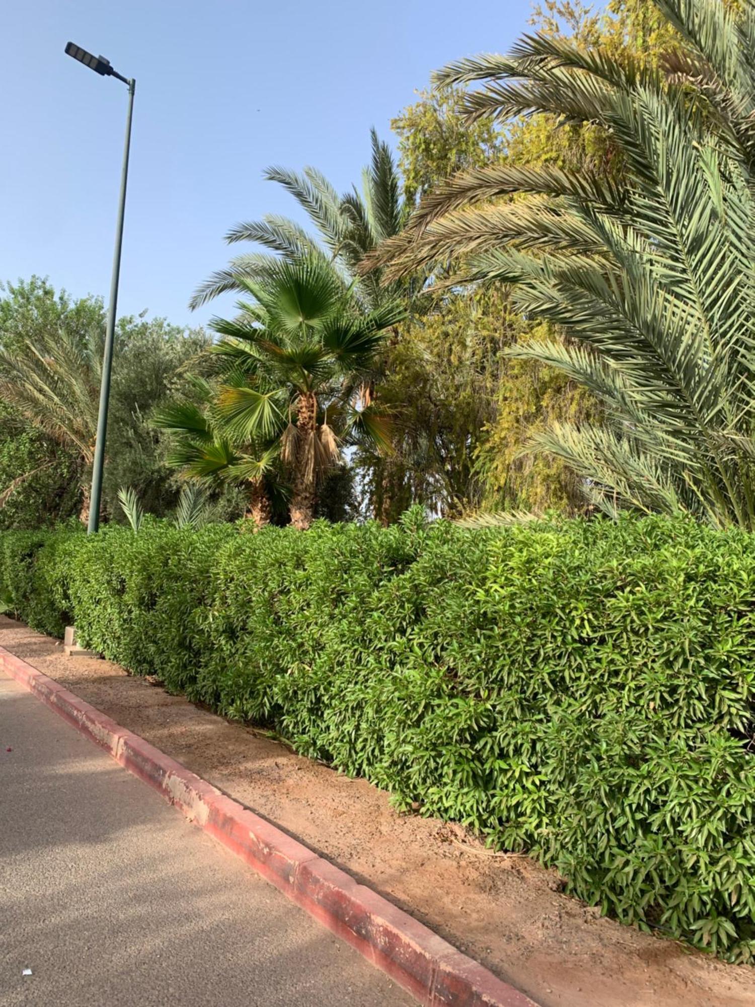 Villa Avec Piscine Privatisee A La Palmeraie مراكش المظهر الخارجي الصورة